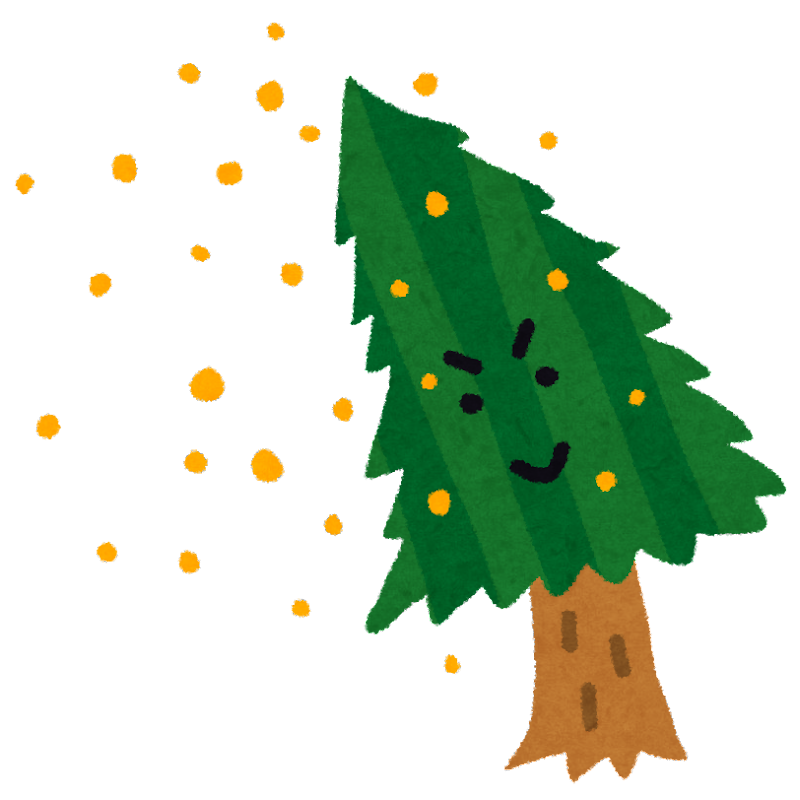 花粉症対策🌲のイメージ画像