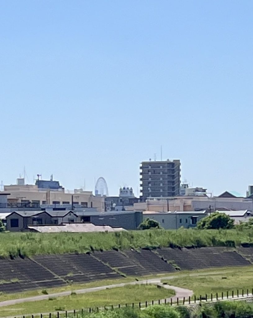 就労体力をつけよう！効果的なウォーキングの方法と定期開催のご案内のイメージ画像