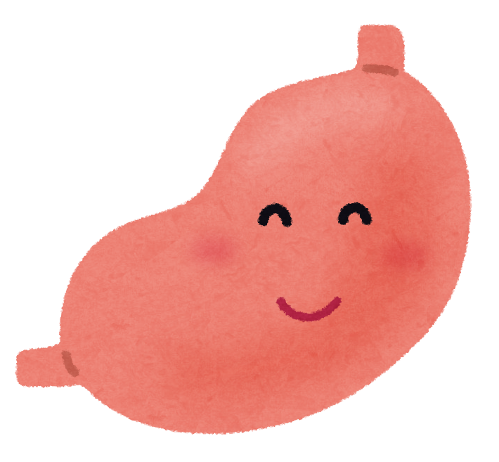 今日は何の日でしょうか？12月11日は【胃腸の日】のイメージ画像