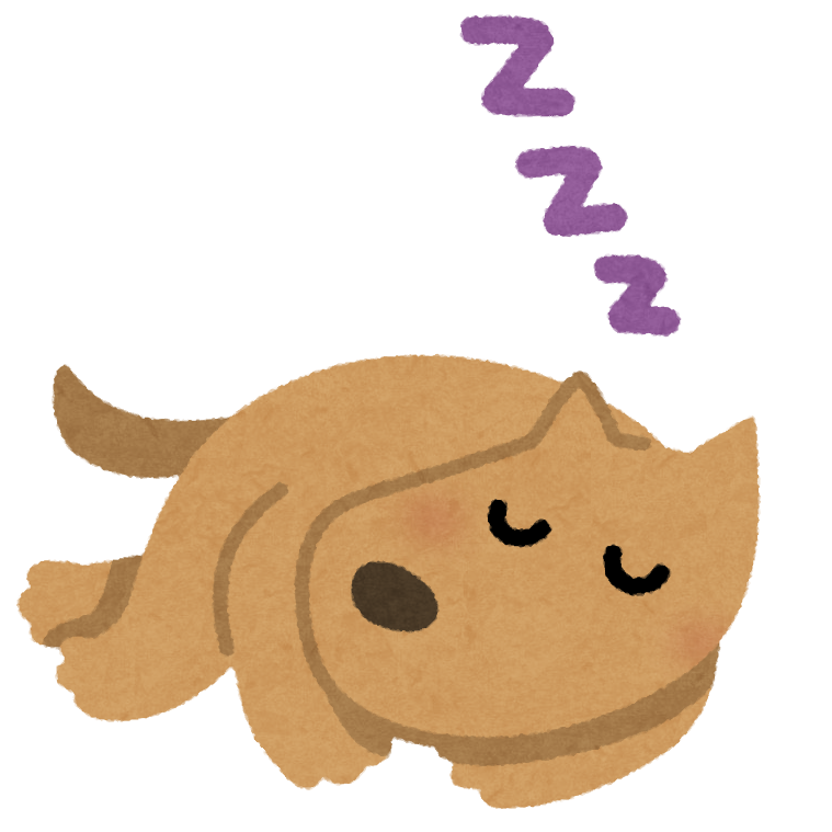 睡眠は心の栄養💤生活リズムを見直して、毎日スッキリ過ごそう！のイメージ画像