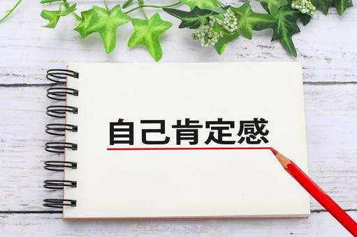 【自己肯定感を高める訓練】～自分らしい生き方を見つける～のイメージ画像
